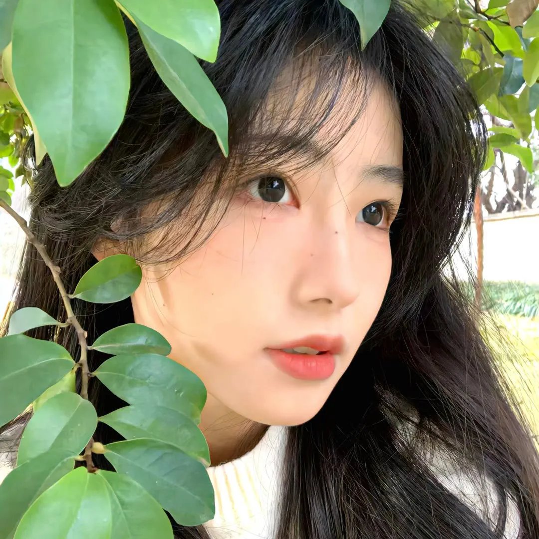 歌剧红伶